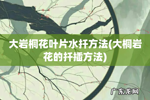 大桐岩花的扦插方法 大岩桐花叶片水扦方法