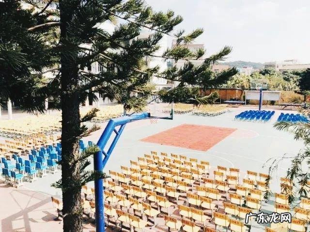 回顾总结过去,规划展望未来 总结过去展望未来的成语