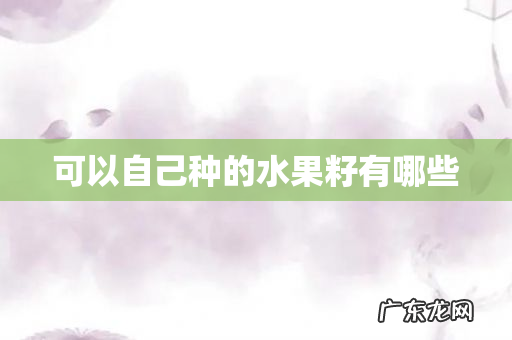 可以自己种的水果籽有哪些