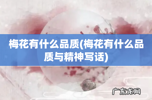 梅花有什么品质与精神写话 梅花有什么品质