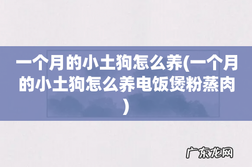 一个月的小土狗怎么养电饭煲粉蒸肉 一个月的小土狗怎么养