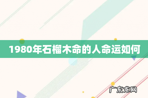 1980年石榴木命的人命运如何