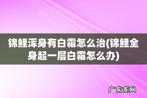 锦鲤全身起一层白霜怎么办 锦鲤浑身有白霜怎么治