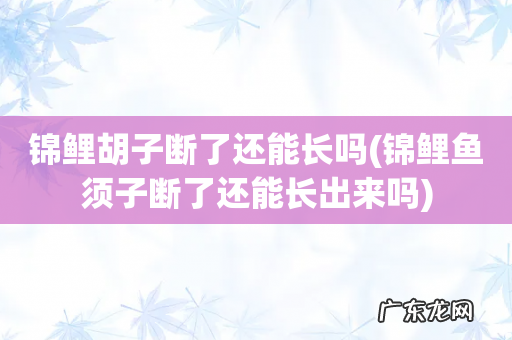 锦鲤鱼须子断了还能长出来吗 锦鲤胡子断了还能长吗