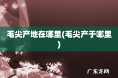 毛尖产于哪里 毛尖产地在哪里