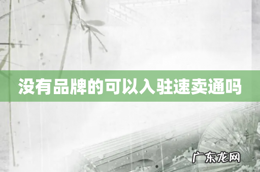 没有品牌的可以入驻速卖通吗