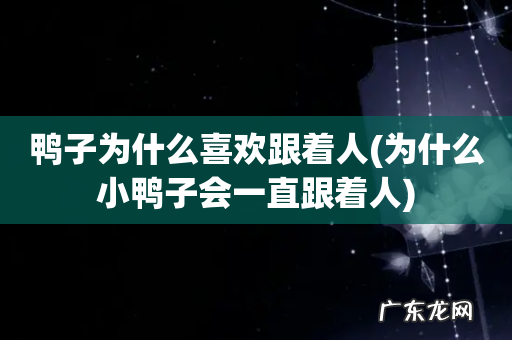 为什么小鸭子会一直跟着人 鸭子为什么喜欢跟着人