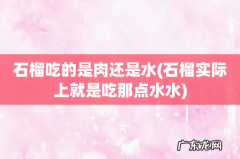 石榴实际上就是吃那点水水 石榴吃的是肉还是水