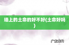 土命好吗 墙上的土命的好不好