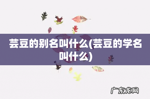 芸豆的学名叫什么 芸豆的别名叫什么