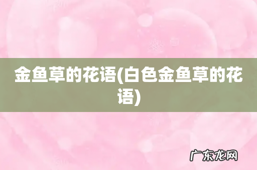 白色金鱼草的花语 金鱼草的花语