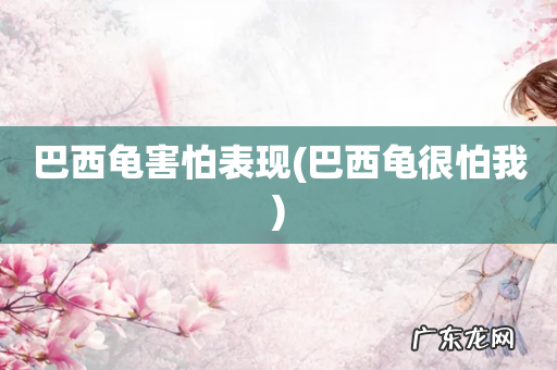 巴西龟很怕我 巴西龟害怕表现