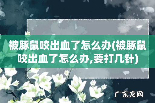 被豚鼠咬出血了怎么办,要打几针 被豚鼠咬出血了怎么办