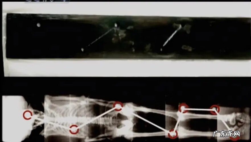 广东十大风水宝地名墓 广西风水宝地天然石棺