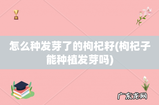 枸杞子能种植发芽吗 怎么种发芽了的枸杞籽