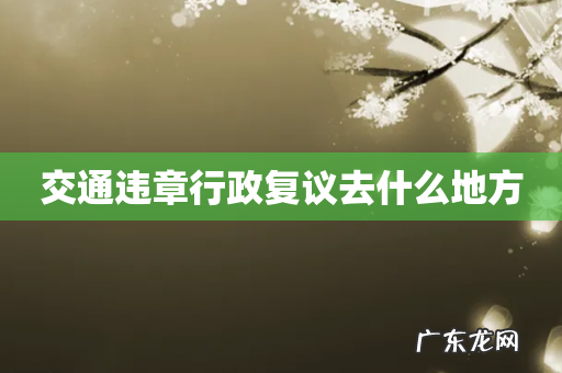 交通违章行政复议去什么地方