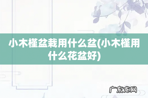 小木槿用什么花盆好 小木槿盆栽用什么盆