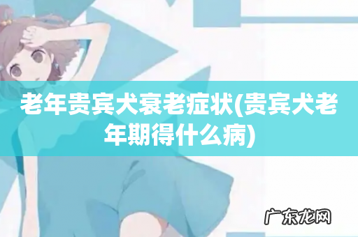 贵宾犬老年期得什么病 老年贵宾犬衰老症状