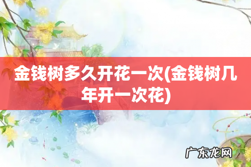 金钱树几年开一次花 金钱树多久开花一次