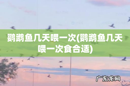 鹦鹉鱼几天喂一次食合适 鹦鹉鱼几天喂一次
