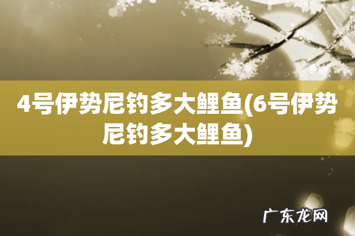 6号伊势尼钓多大鲤鱼 4号伊势尼钓多大鲤鱼
