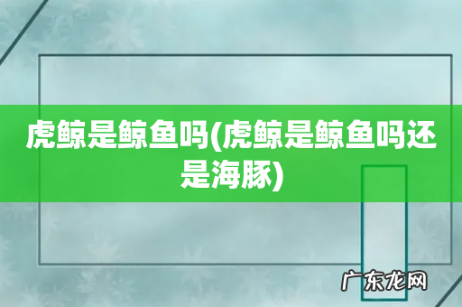 虎鲸是鲸鱼吗还是海豚 虎鲸是鲸鱼吗