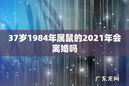 37岁1984年属鼠的2021年会离婚吗