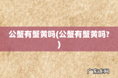 公蟹有蟹黄吗? 公蟹有蟹黄吗