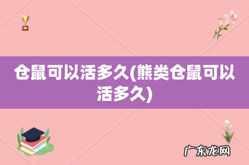 熊类仓鼠可以活多久 仓鼠可以活多久