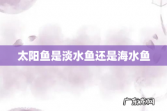 太阳鱼是淡水鱼还是海水鱼