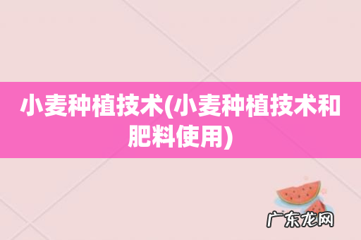 小麦种植技术和肥料使用 小麦种植技术