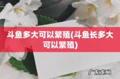 斗鱼长多大可以繁殖 斗鱼多大可以繁殖