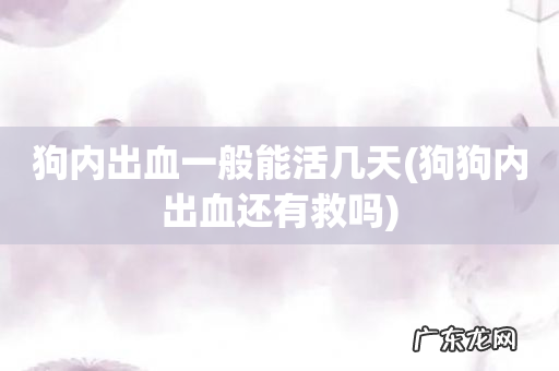 狗狗内出血还有救吗 狗内出血一般能活几天