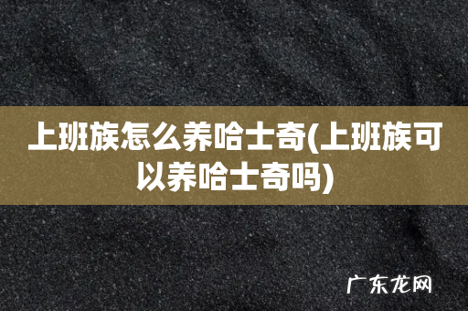 上班族可以养哈士奇吗 上班族怎么养哈士奇