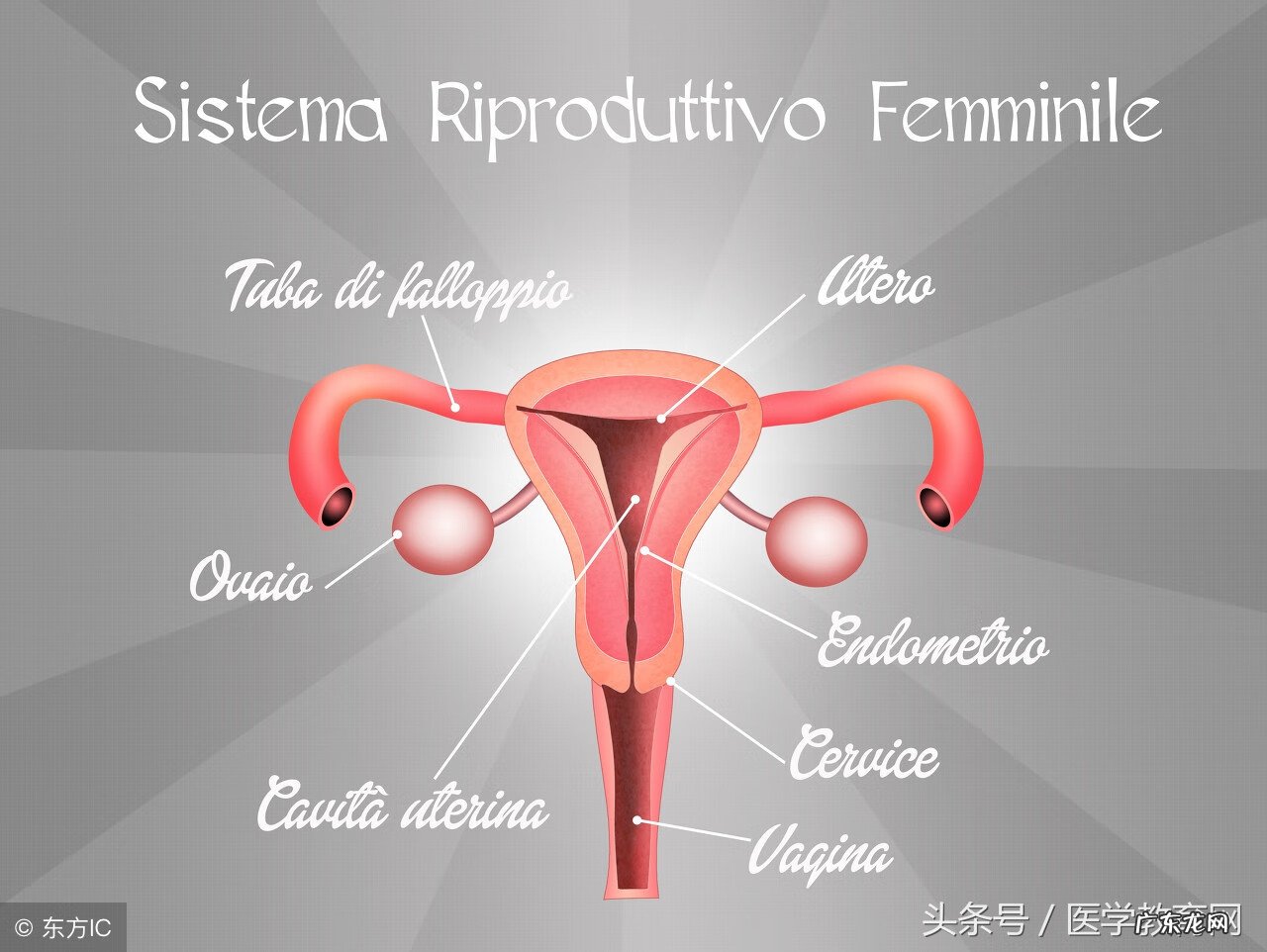 替硝唑栓一天一次还是隔天用 替硝唑栓用了要清洗吗