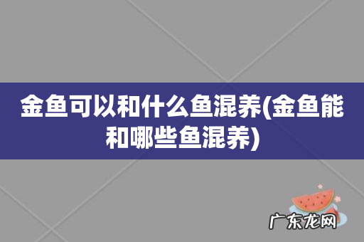 金鱼能和哪些鱼混养 金鱼可以和什么鱼混养