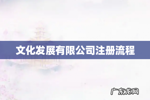 文化发展有限公司注册流程