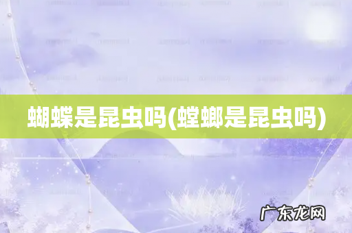 螳螂是昆虫吗 蝴蝶是昆虫吗