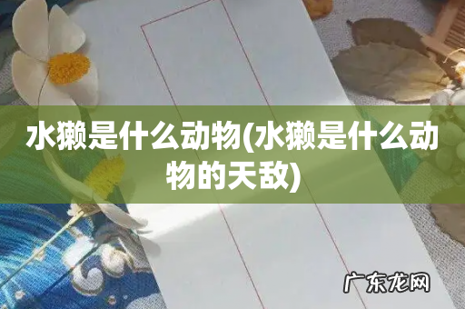 水獭是什么动物的天敌 水獭是什么动物