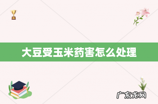 大豆受玉米药害怎么处理