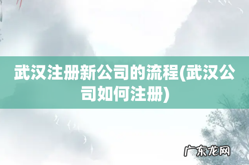 武汉公司如何注册 武汉注册新公司的流程