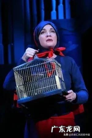 灰色庭园 灰色花园百科