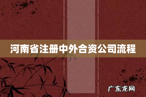 河南省注册中外合资公司流程