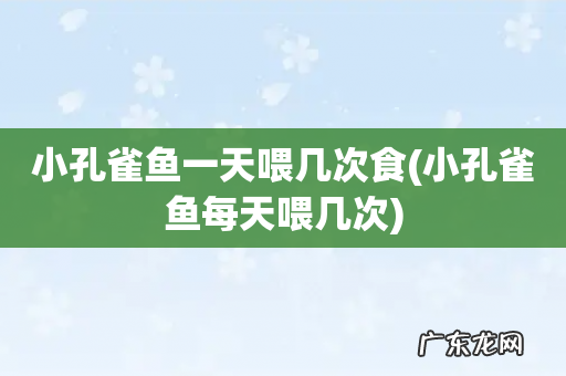 小孔雀鱼每天喂几次 小孔雀鱼一天喂几次食