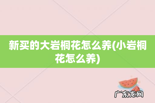 小岩桐花怎么养 新买的大岩桐花怎么养