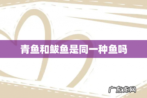 青鱼和鲅鱼是同一种鱼吗