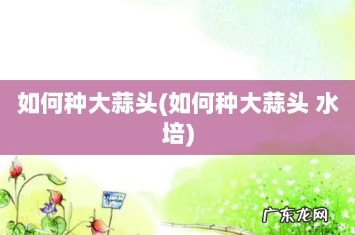 如何种大蒜头 水培 如何种大蒜头