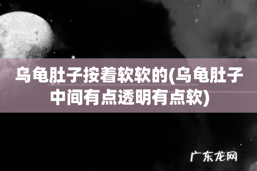 乌龟肚子中间有点透明有点软 乌龟肚子按着软软的