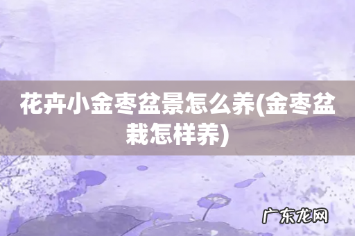 金枣盆栽怎样养 花卉小金枣盆景怎么养