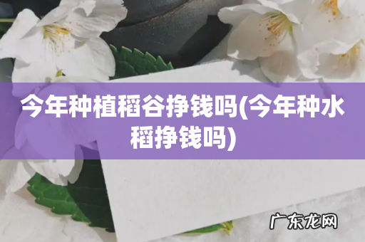 今年种水稻挣钱吗 今年种植稻谷挣钱吗